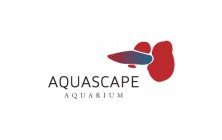 Aquascape Aquarium