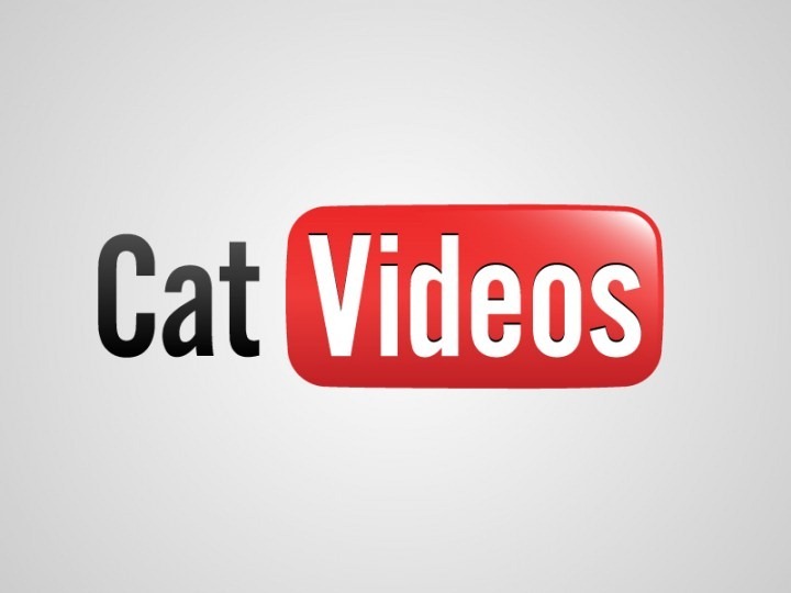 you-tube-cat-videos