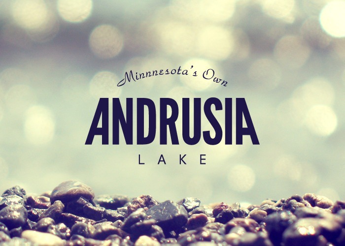 lake-logo-AndrusiaLake